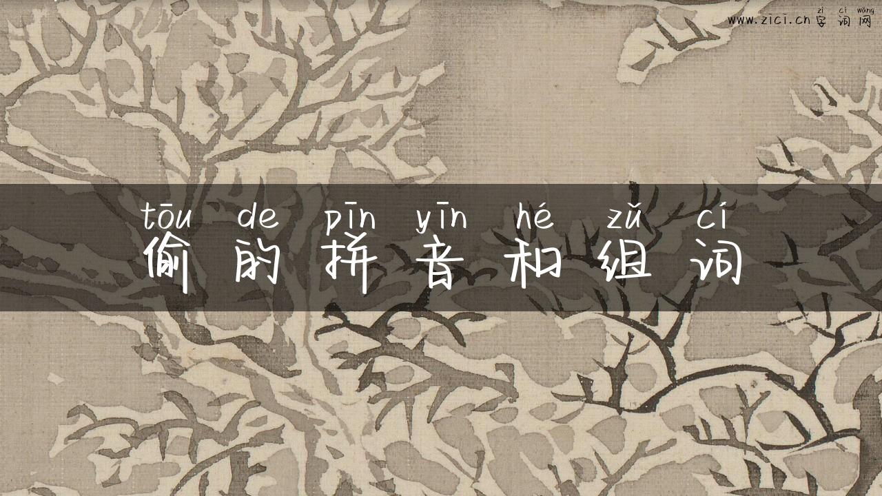 偷的拼音和组词