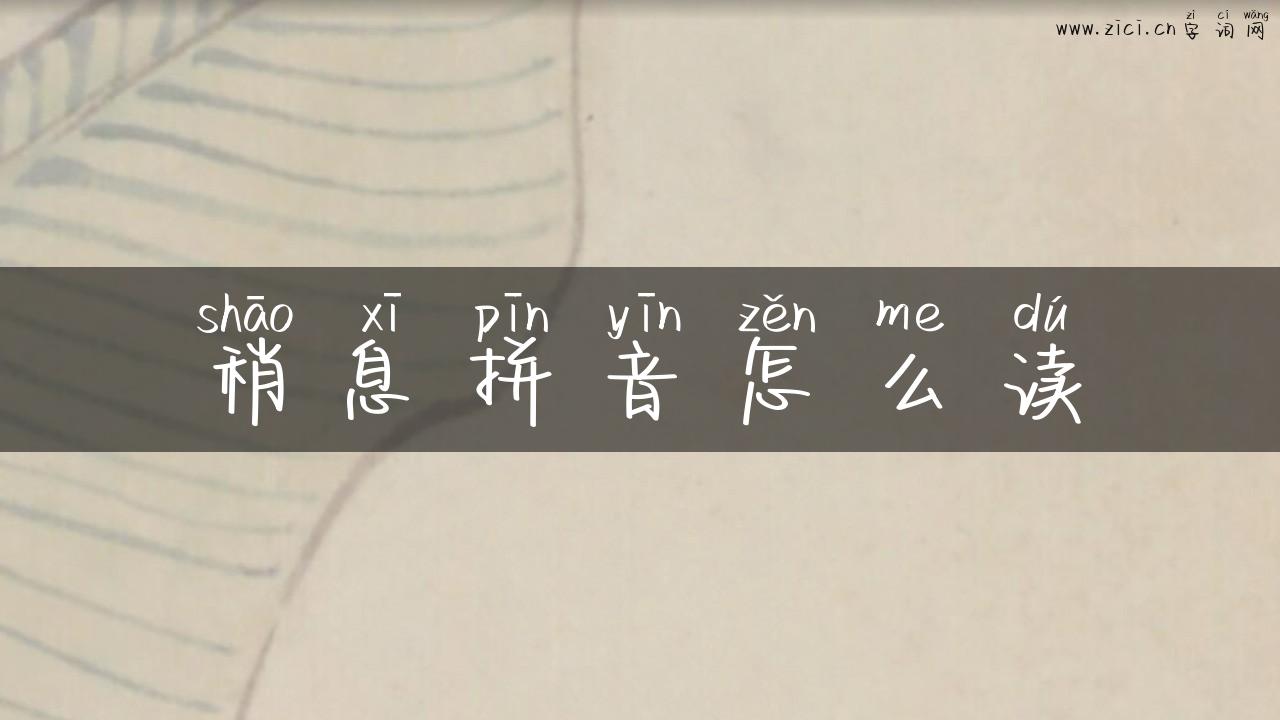 稍息拼音怎么读