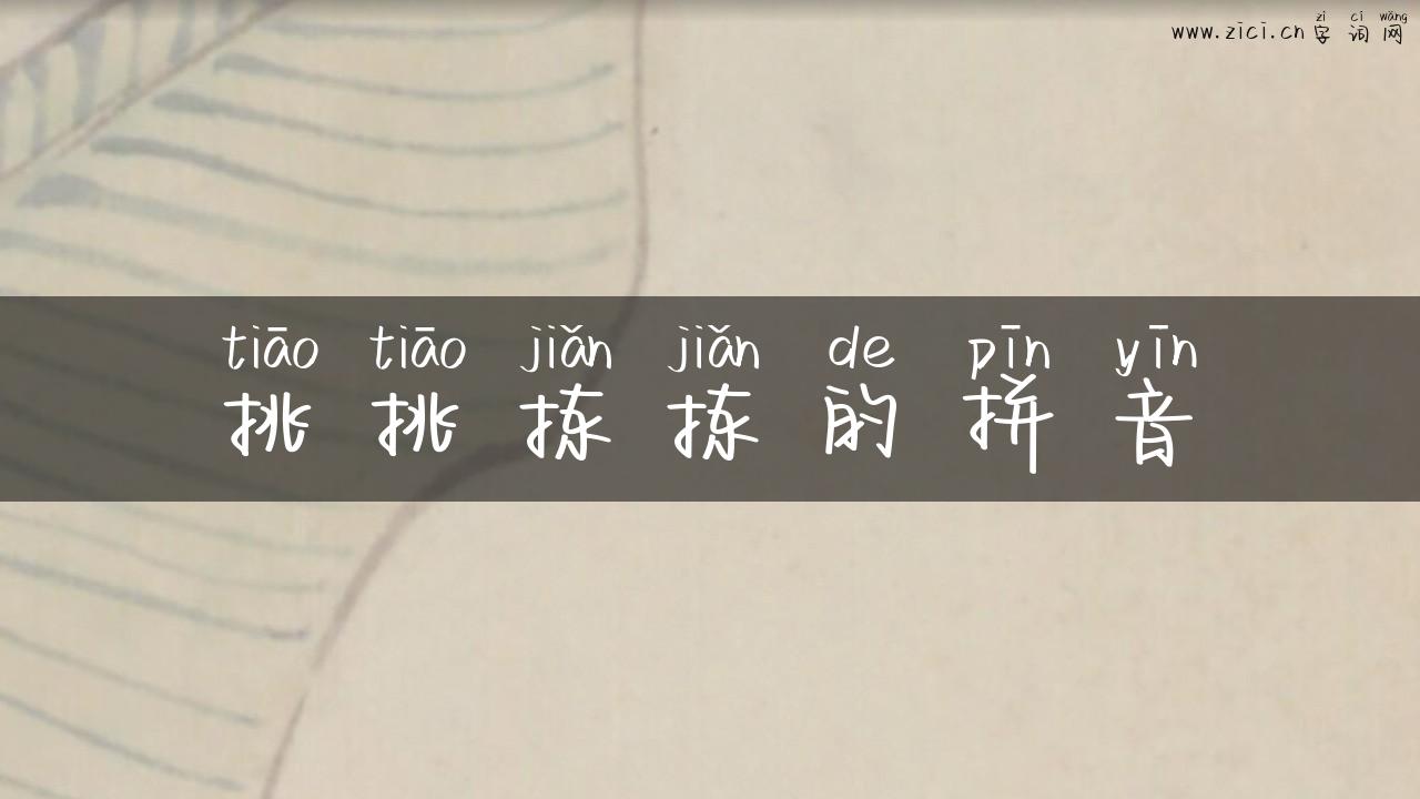 挑挑拣拣的拼音