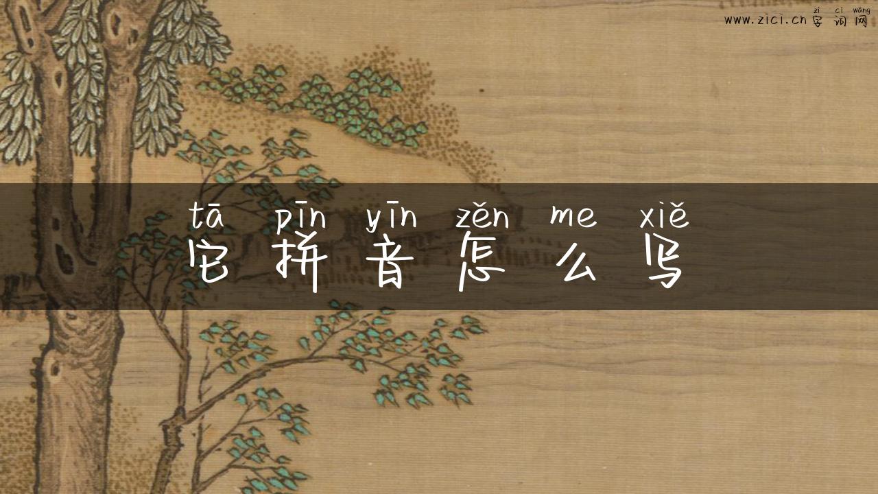 它拼音怎么写