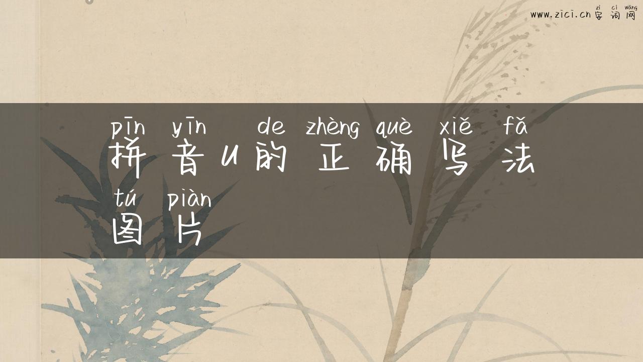 拼音u的正确写法图片