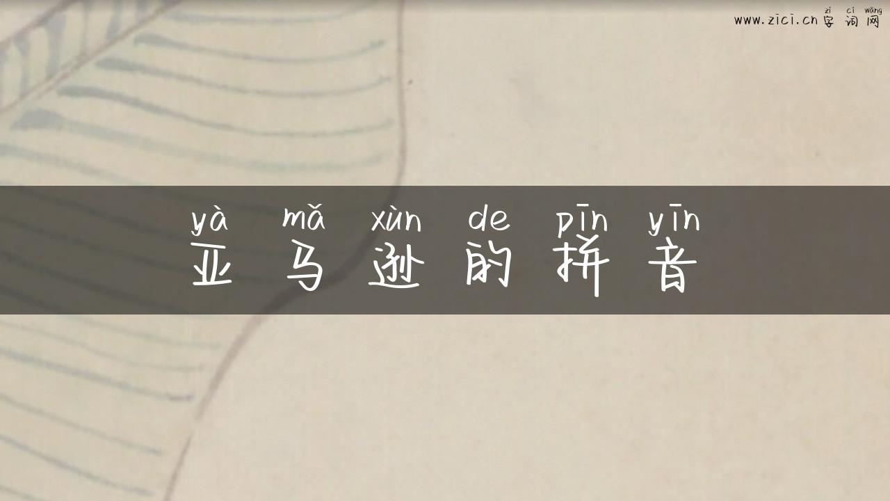 亚马逊的拼音