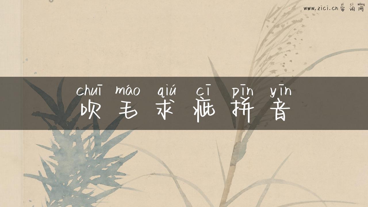 吹毛求疵拼音