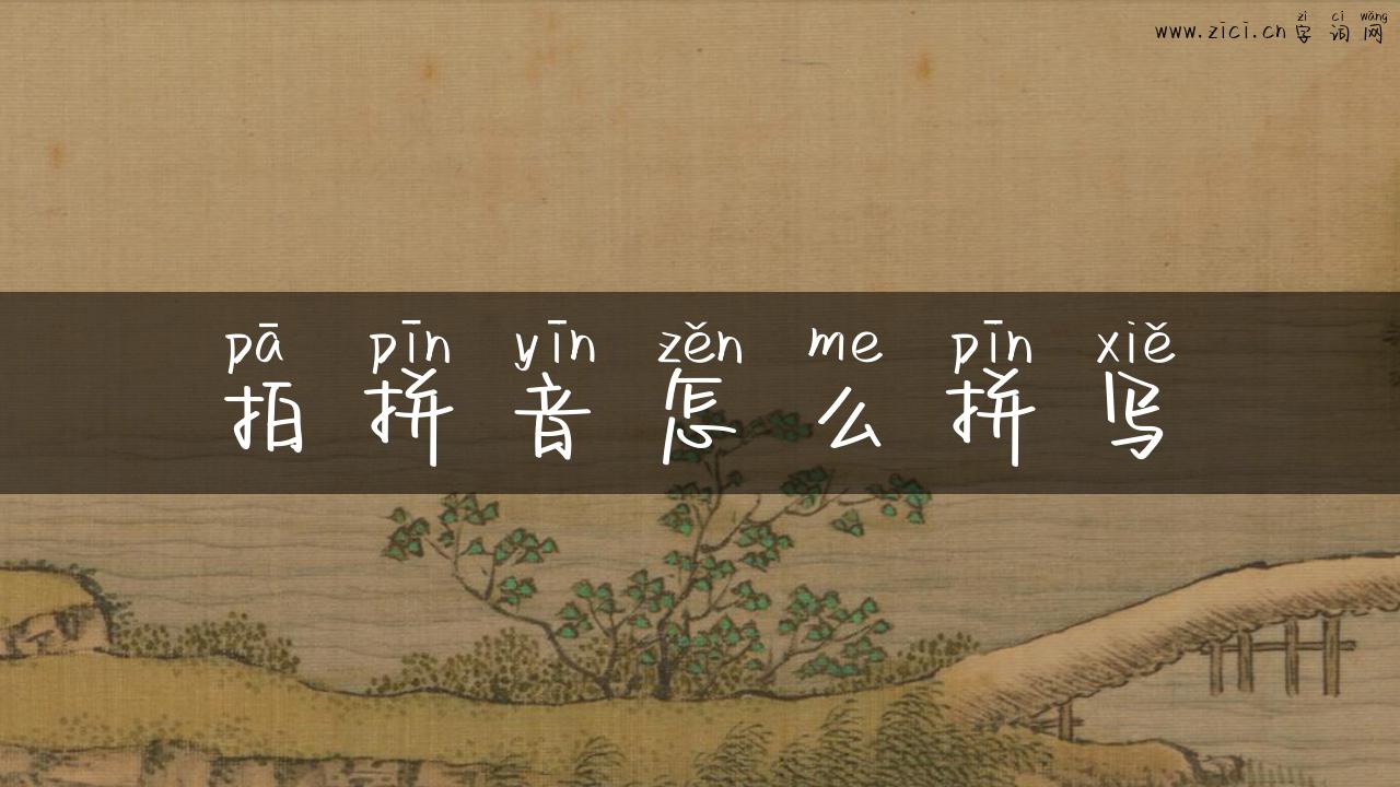 拍拼音怎么拼写