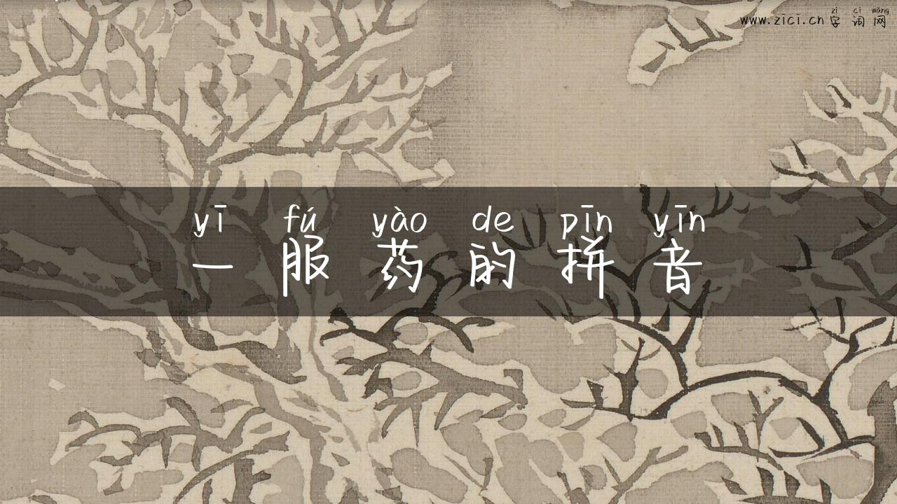一服药的拼音