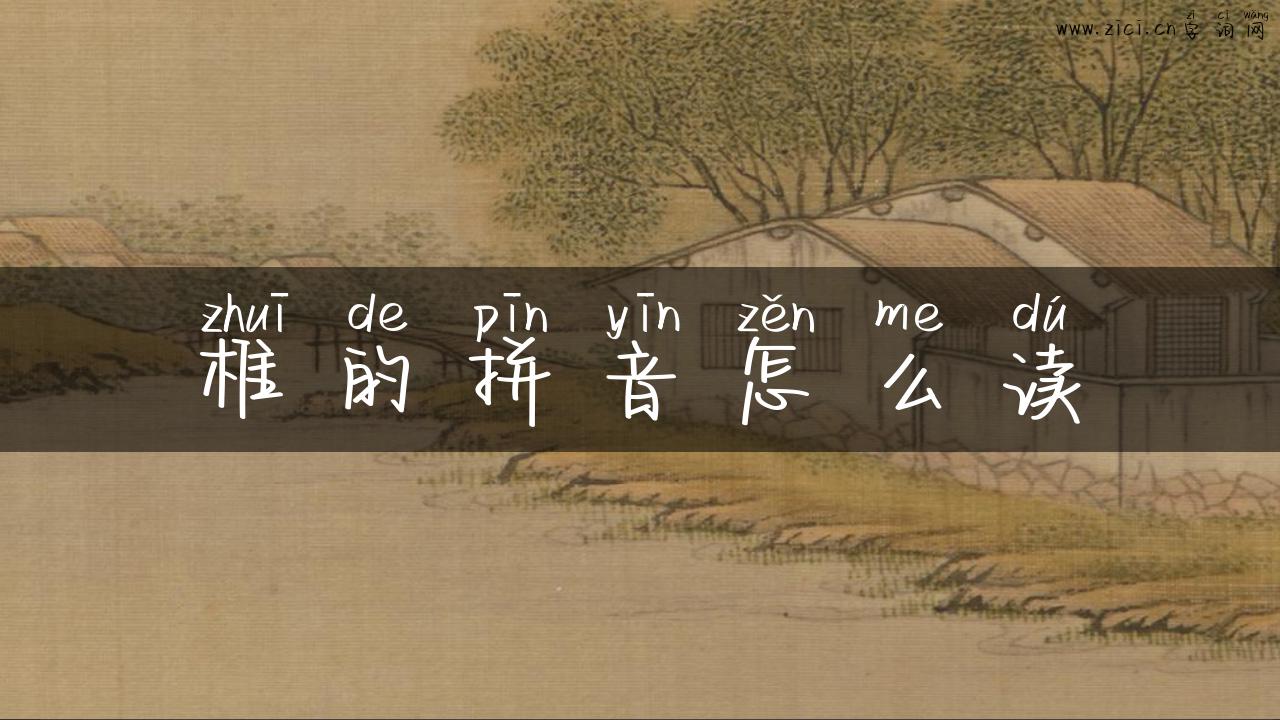 椎的拼音怎么读