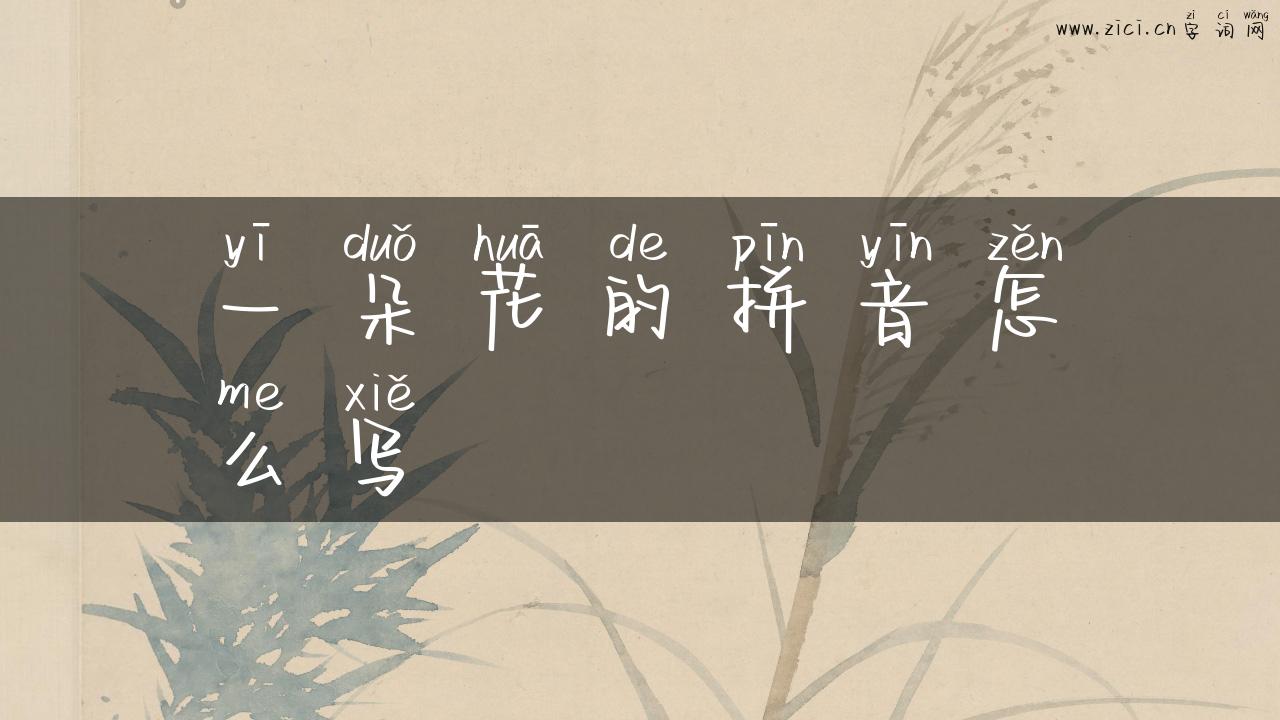 一朵花的拼音怎么写