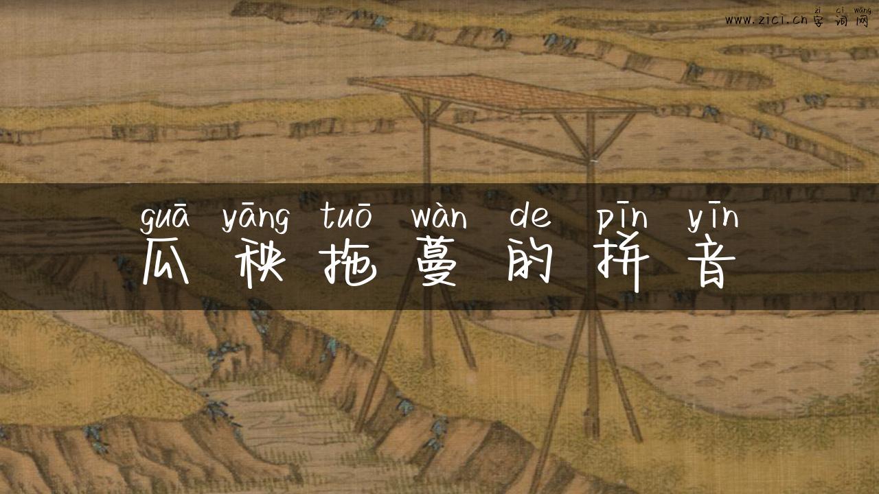 瓜秧拖蔓的拼音