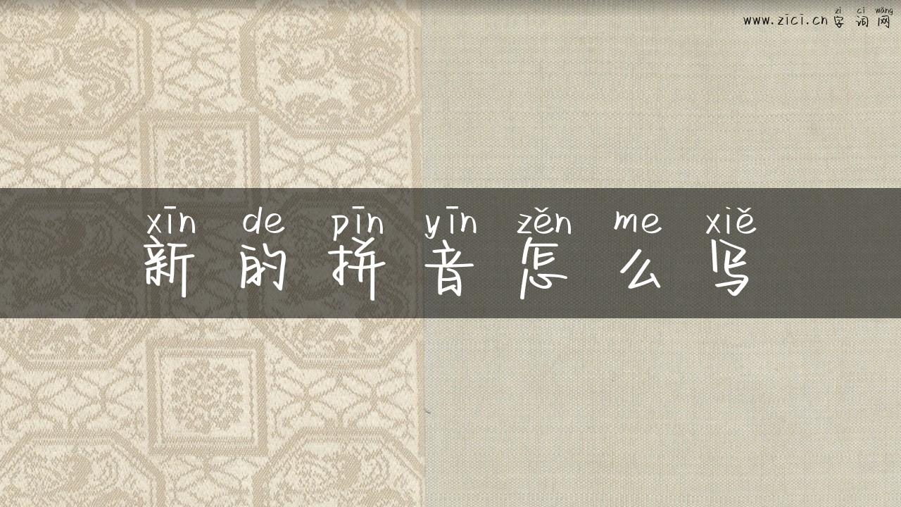 新的拼音怎么写
