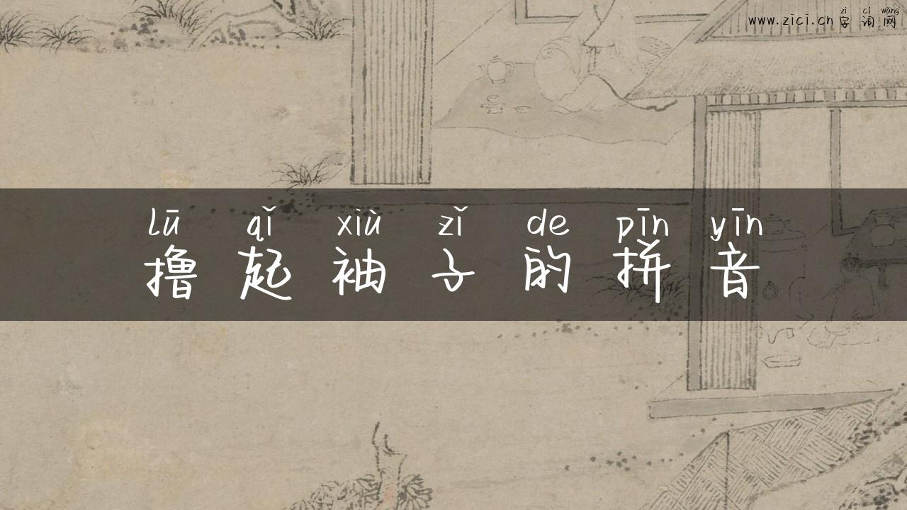 撸起袖子的拼音