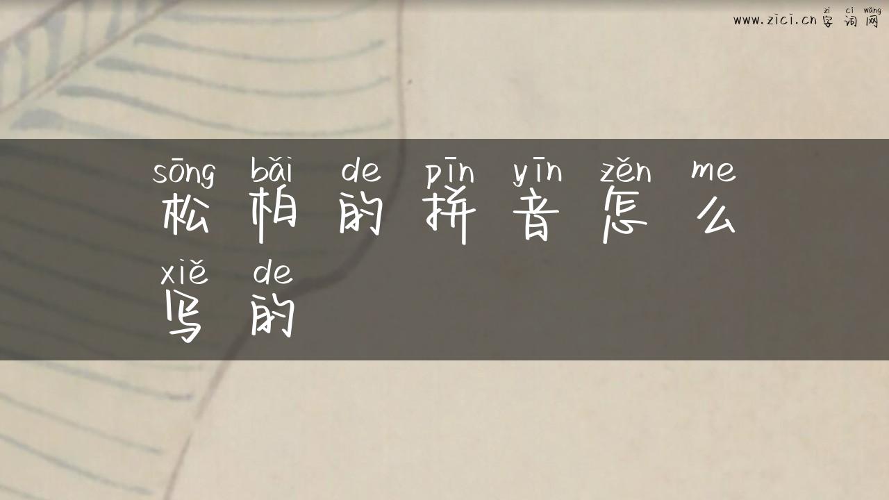 松柏的拼音怎么写的