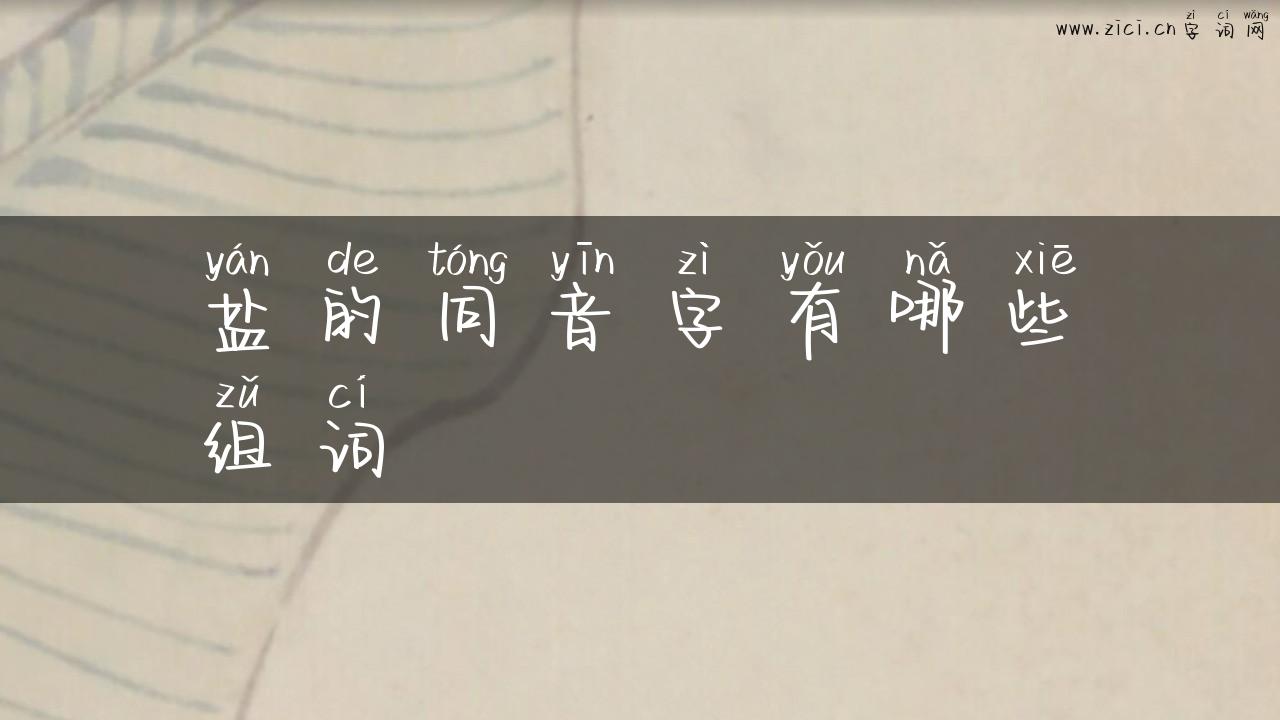 盐的同音字有哪些组词