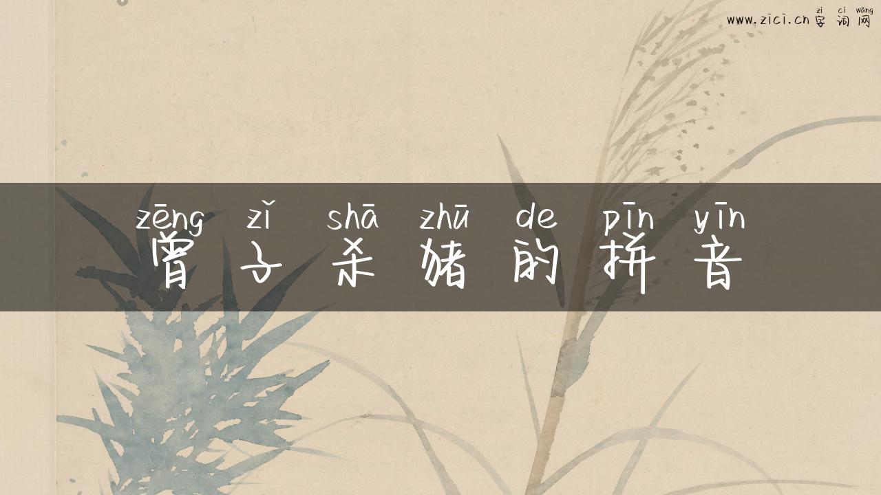 曾子杀猪的拼音