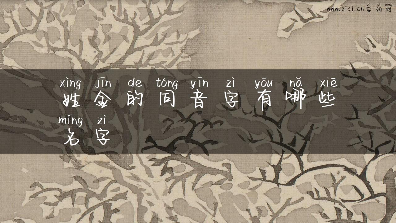 姓金的同音字有哪些名字