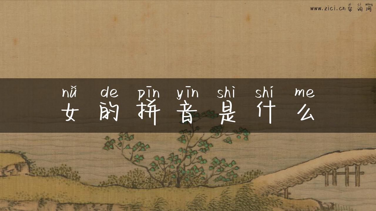 女的拼音是什么