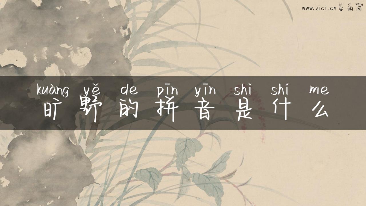旷野的拼音是什么