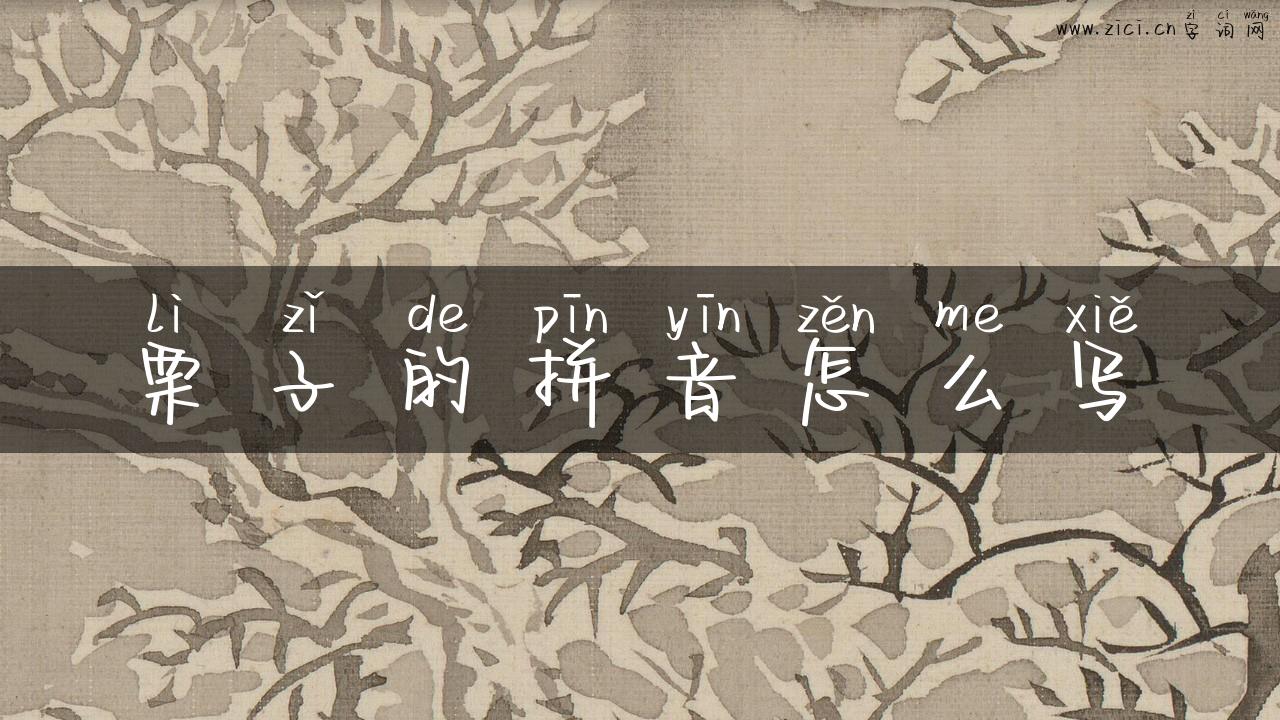 栗子的拼音怎么写