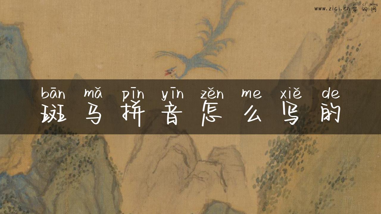 斑马拼音怎么写的