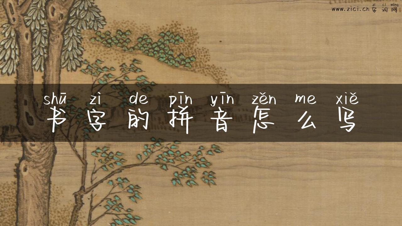 书字的拼音怎么写