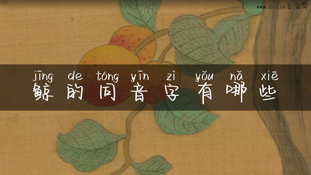 鲸的同音字有哪些