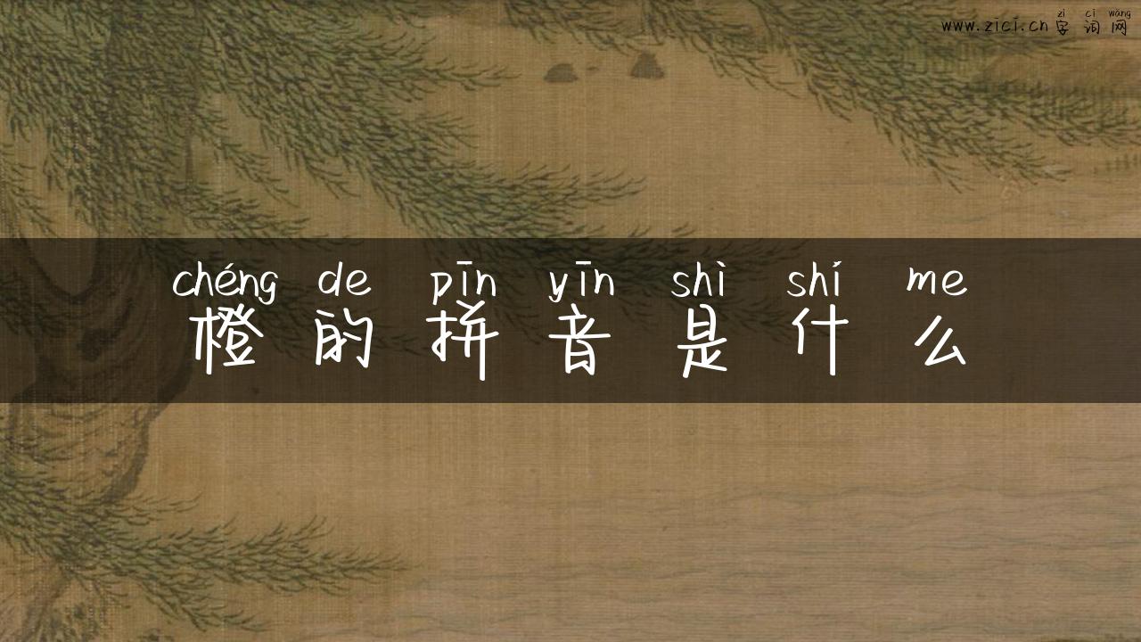 橙的拼音是什么