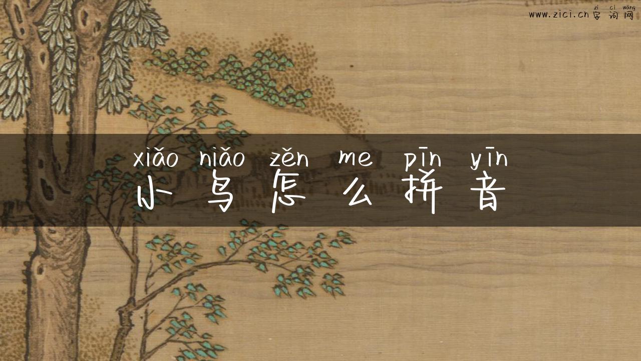 小鸟怎么拼音