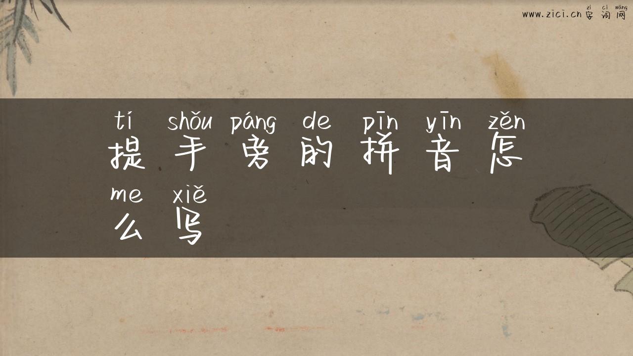 提手旁的拼音怎么写