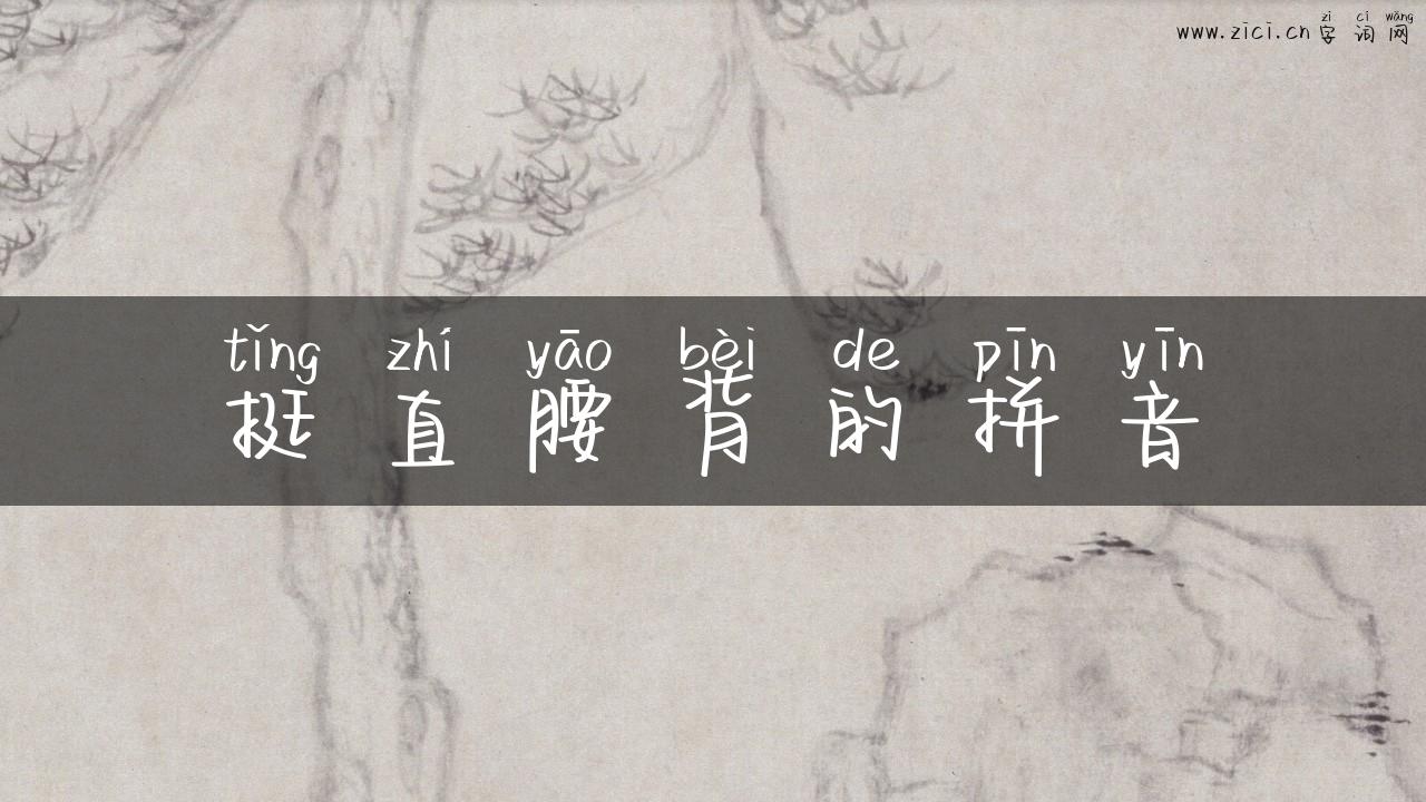 挺直腰背的拼音