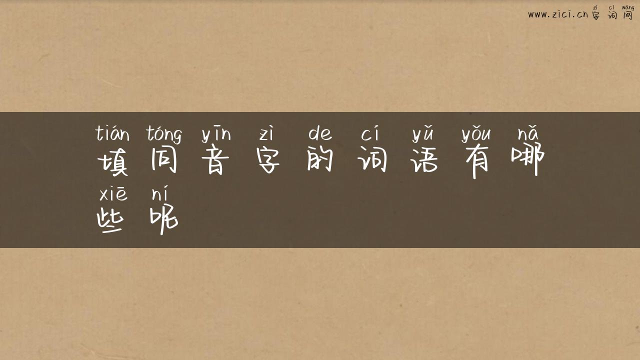 填同音字的词语有哪些呢