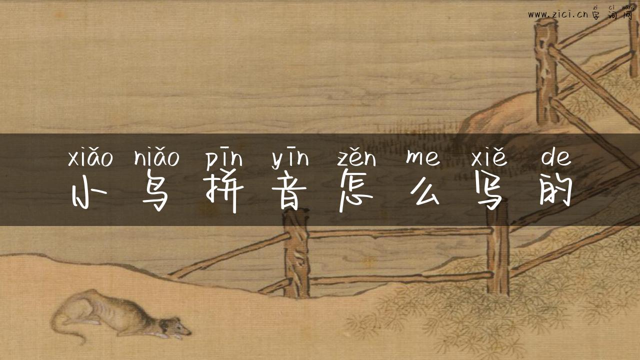 小鸟拼音怎么写的