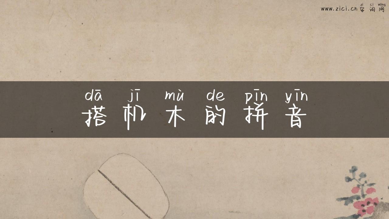 搭机木的拼音
