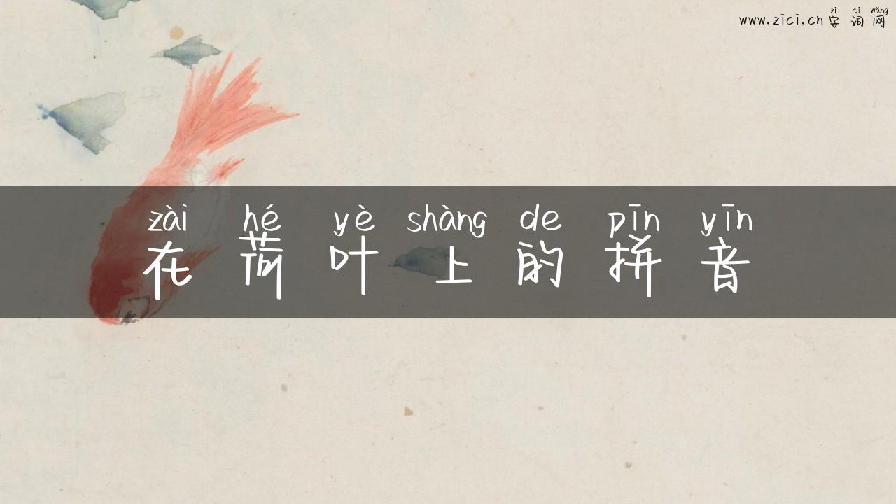 在荷叶上的拼音