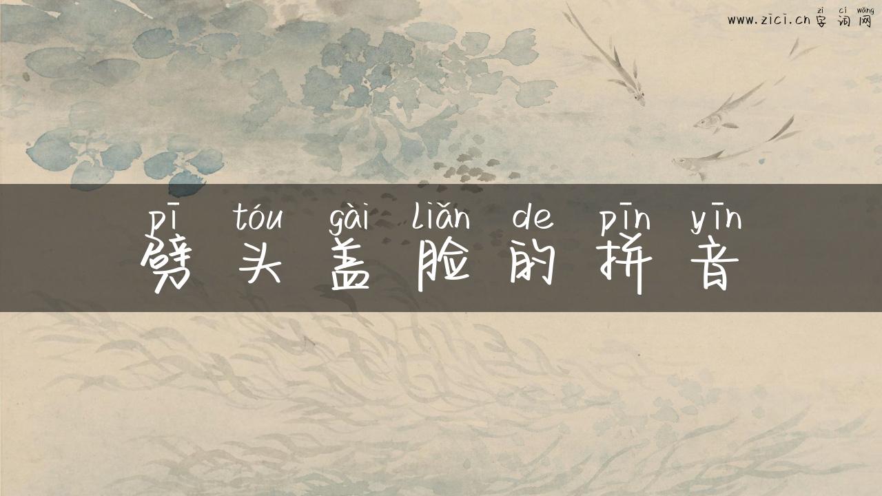 劈头盖脸的拼音