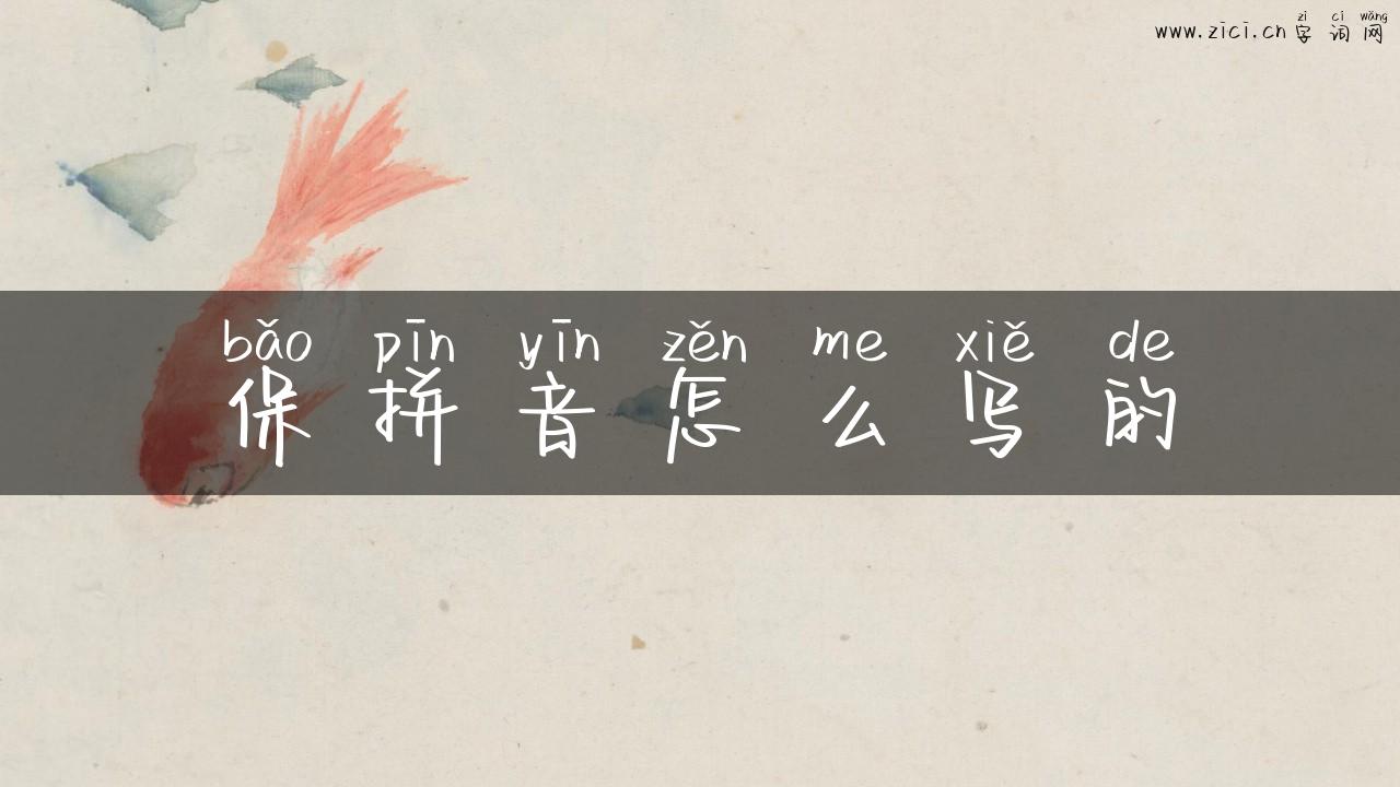 保拼音怎么写的