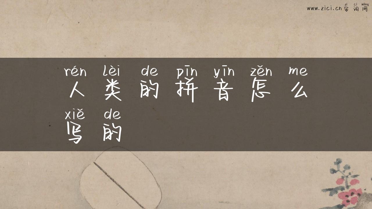 人类的拼音怎么写的