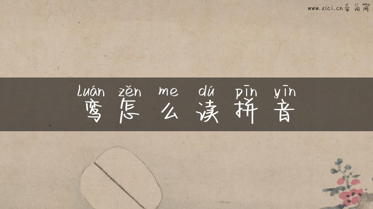 鸾怎么读拼音