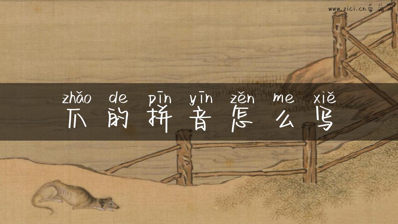 爪的拼音怎么写
