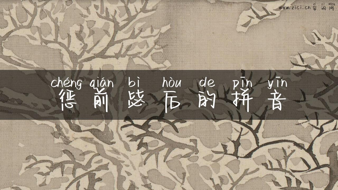 惩前毖后的拼音