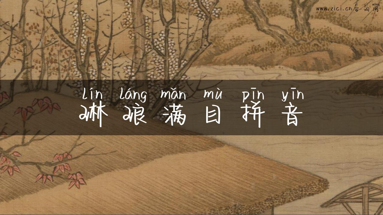 琳琅满目拼音