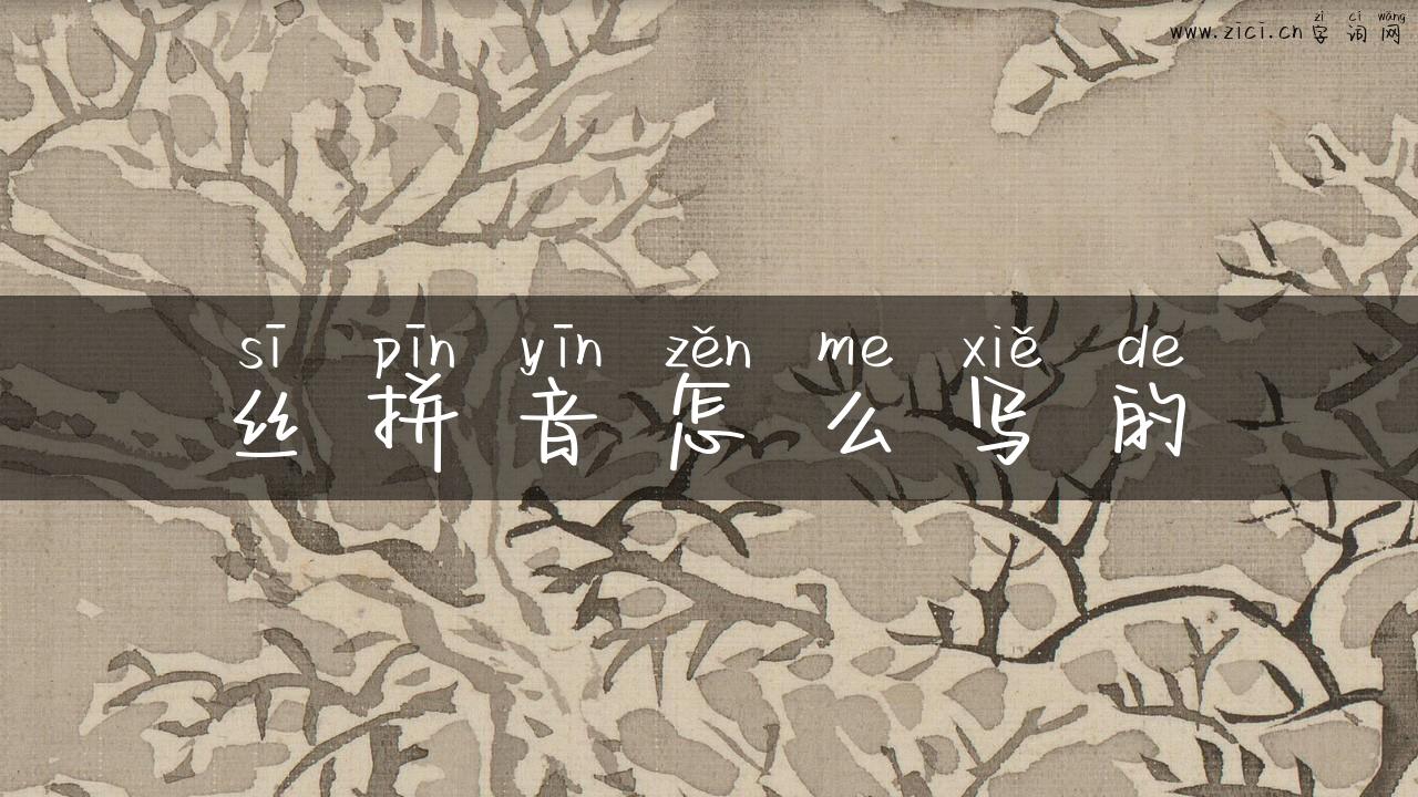 丝拼音怎么写的