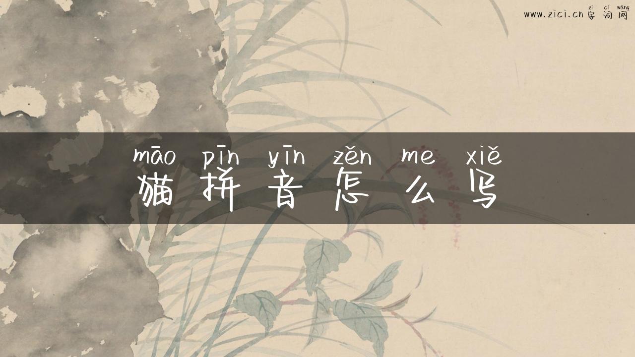 猫拼音怎么写