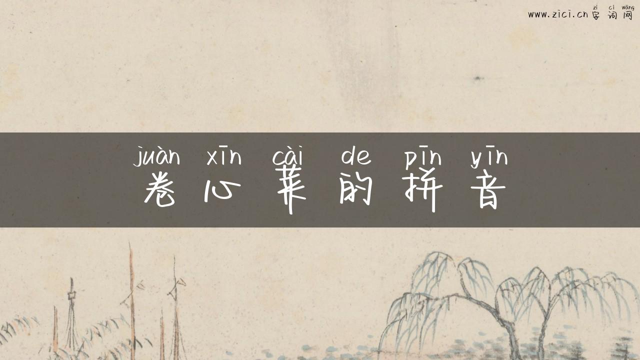 卷心菜的拼音