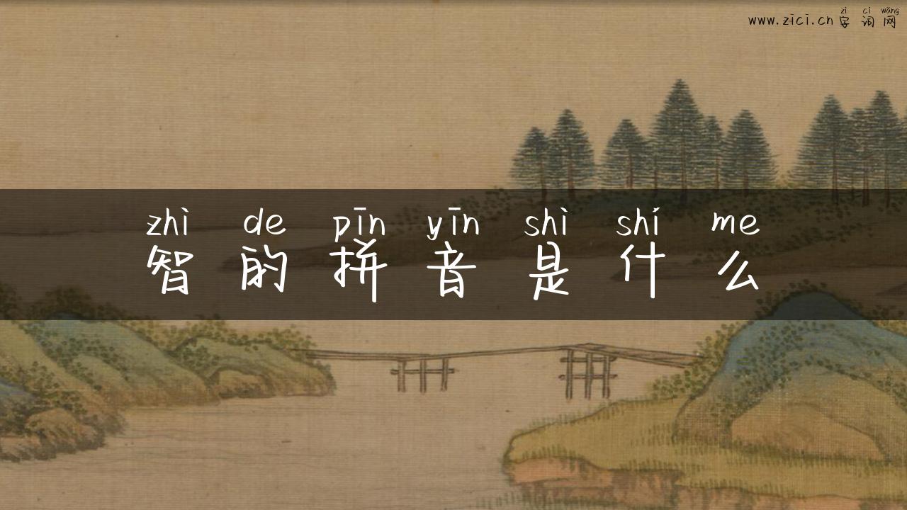 智的拼音是什么
