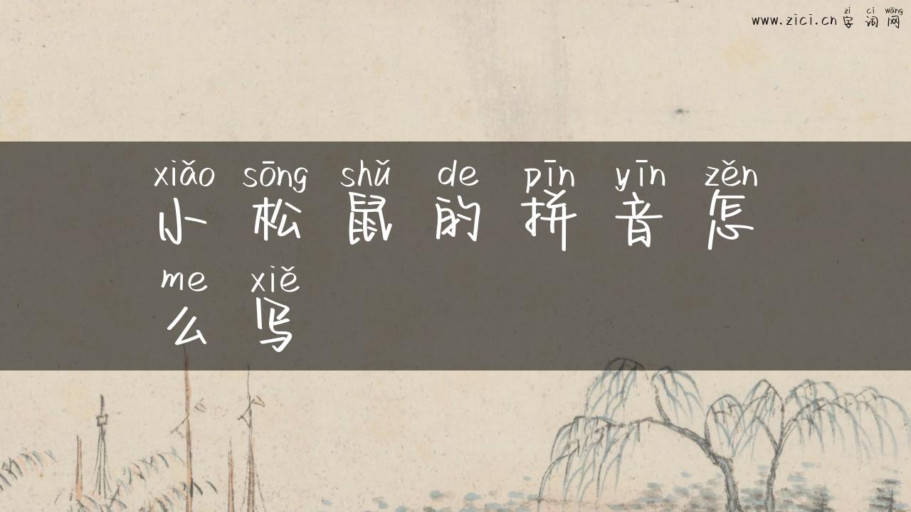 小松鼠的拼音怎么写