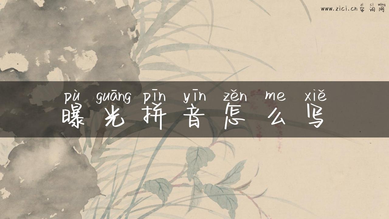 曝光拼音怎么写