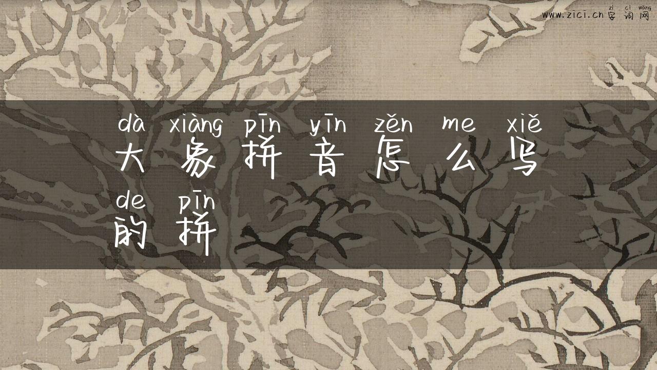 大象拼音怎么写的拼