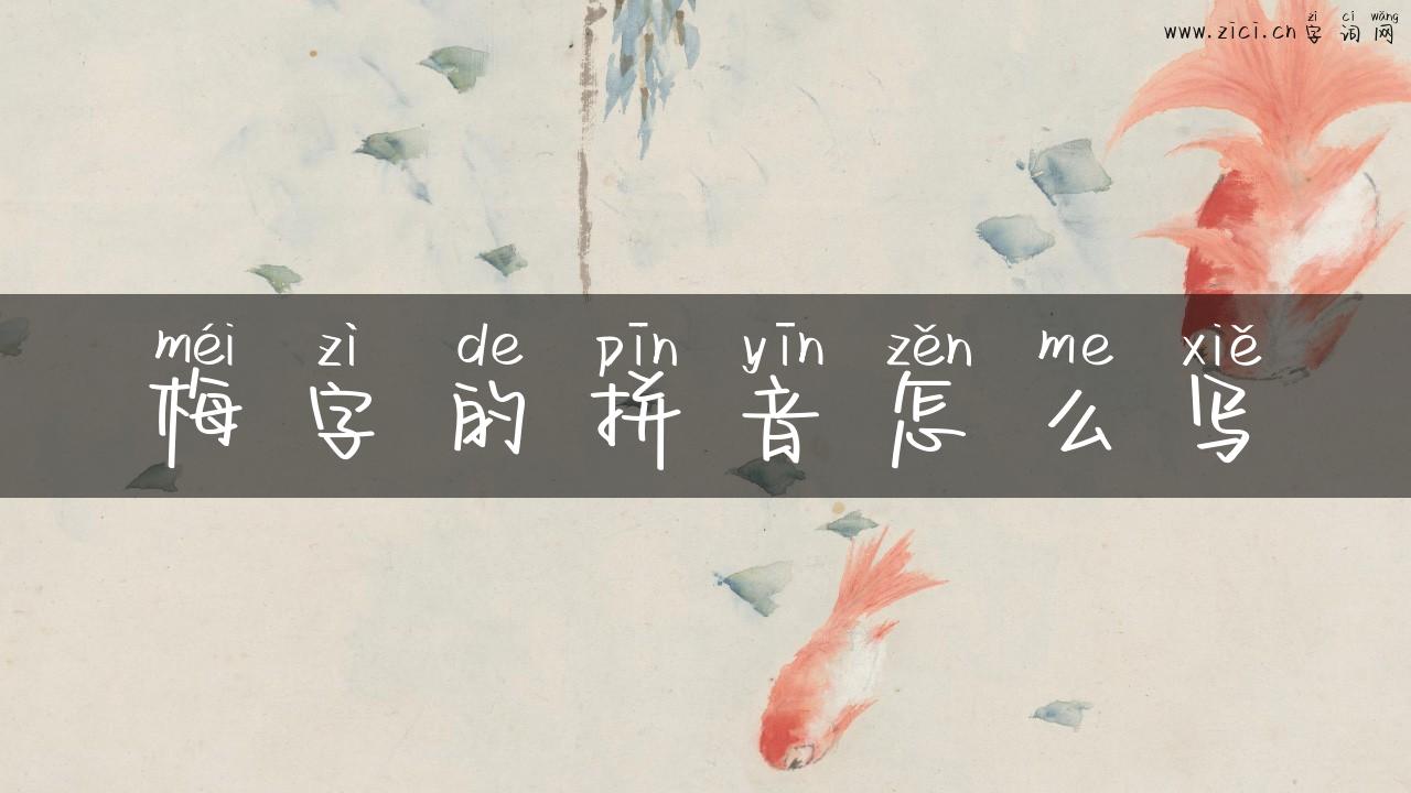 梅字的拼音怎么写