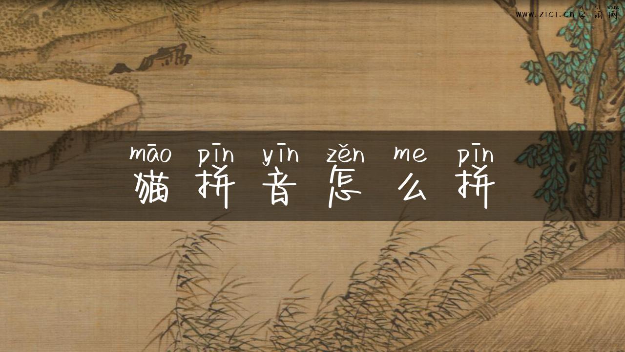 猫拼音怎么拼