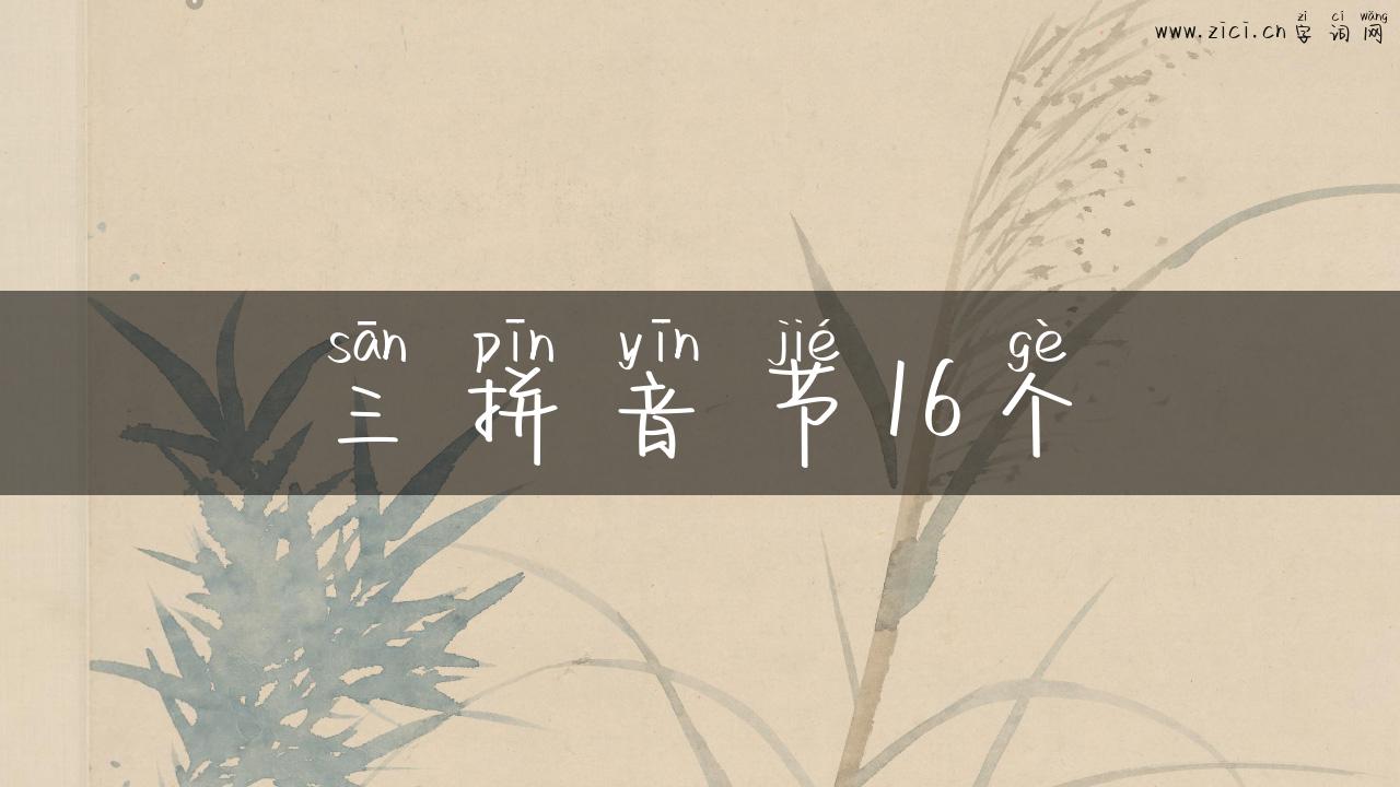 三拼音节16个
