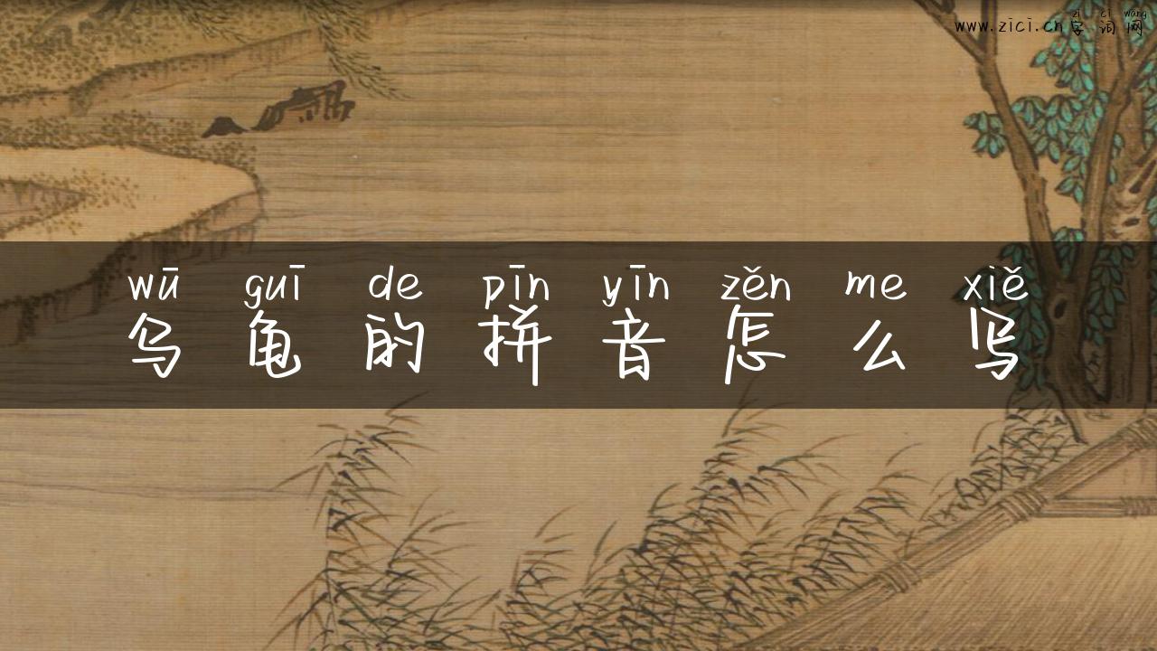 乌龟的拼音怎么写